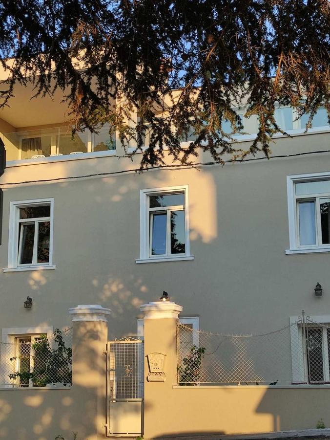 Villa Damiani بولا المظهر الخارجي الصورة
